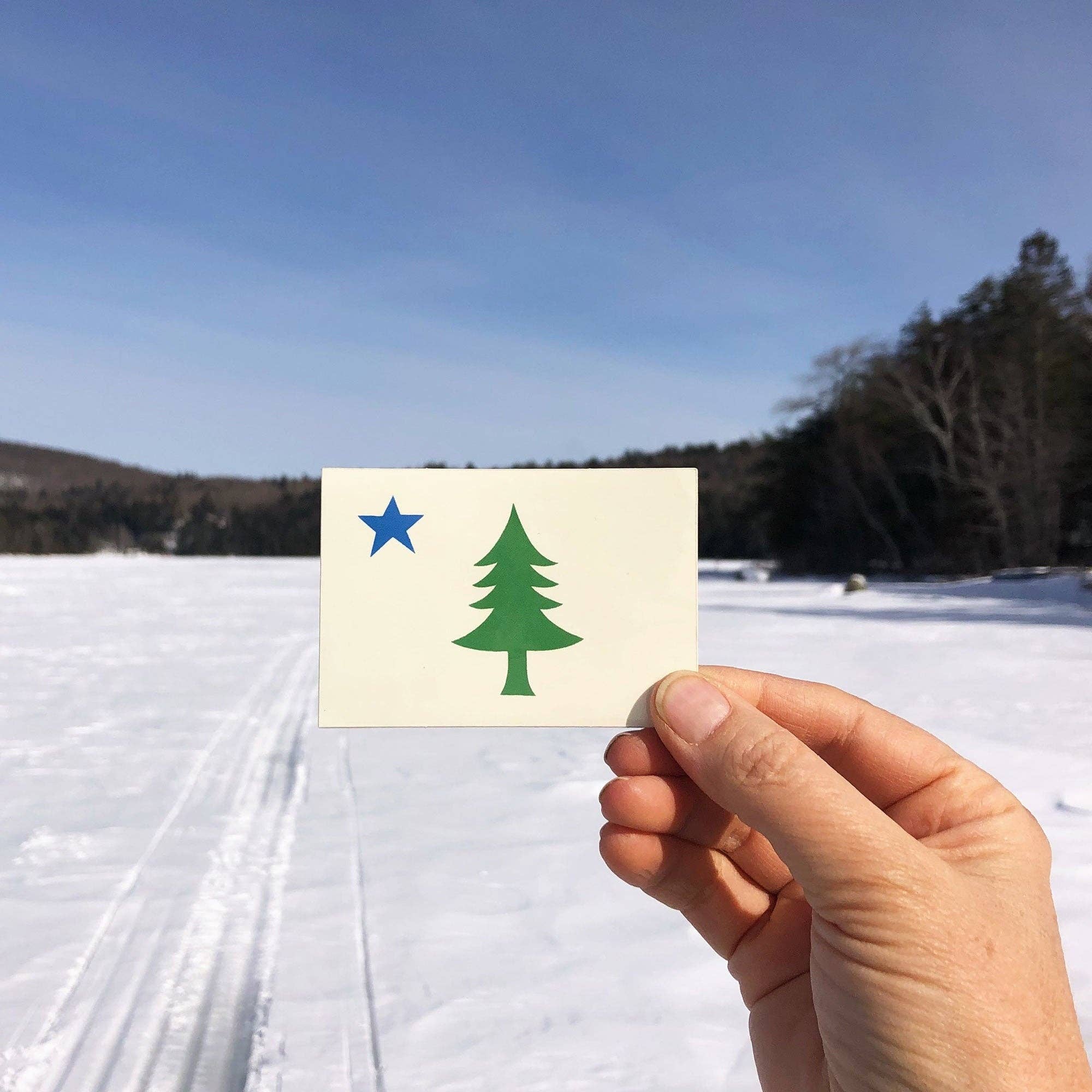 Little Something Co. - Wholesale Sticker - Maine Bicentennial 1901 Flag Sticker2