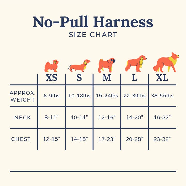 Lucy & Co. - Wholesale Pet harness – Dog - Cinnamon Teddy No-Pull Harness6