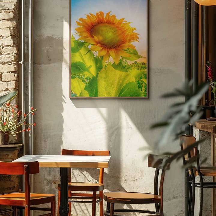 Fri Frakt Färgglad solros sidovy, väggdekor för wholesale av Lisa Herigon Photography