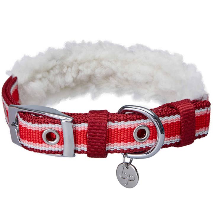 Blueberry Pet - Wholesale Pet Collar - Dog - 4 Colors, Sherpa Fleece Padded Dog Collar
