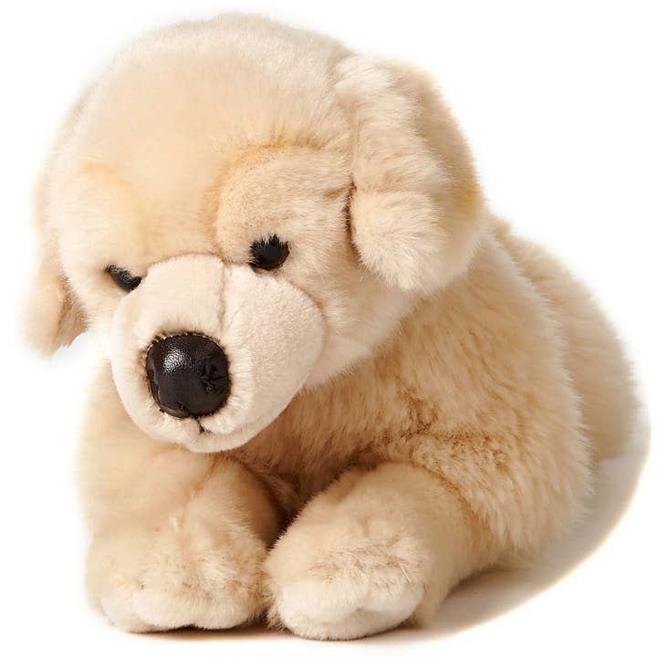 Uni Toys - Wholesale Stuffed/Plush Toy - Kids & Baby - Golden Retriever, lying down - cuddly/plush toy1