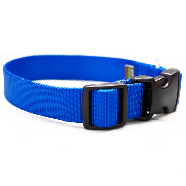 Mimi Green - Wholesale Pet Collar - Dog - Nylon Webbing Dog Collars - 27 Colors!20