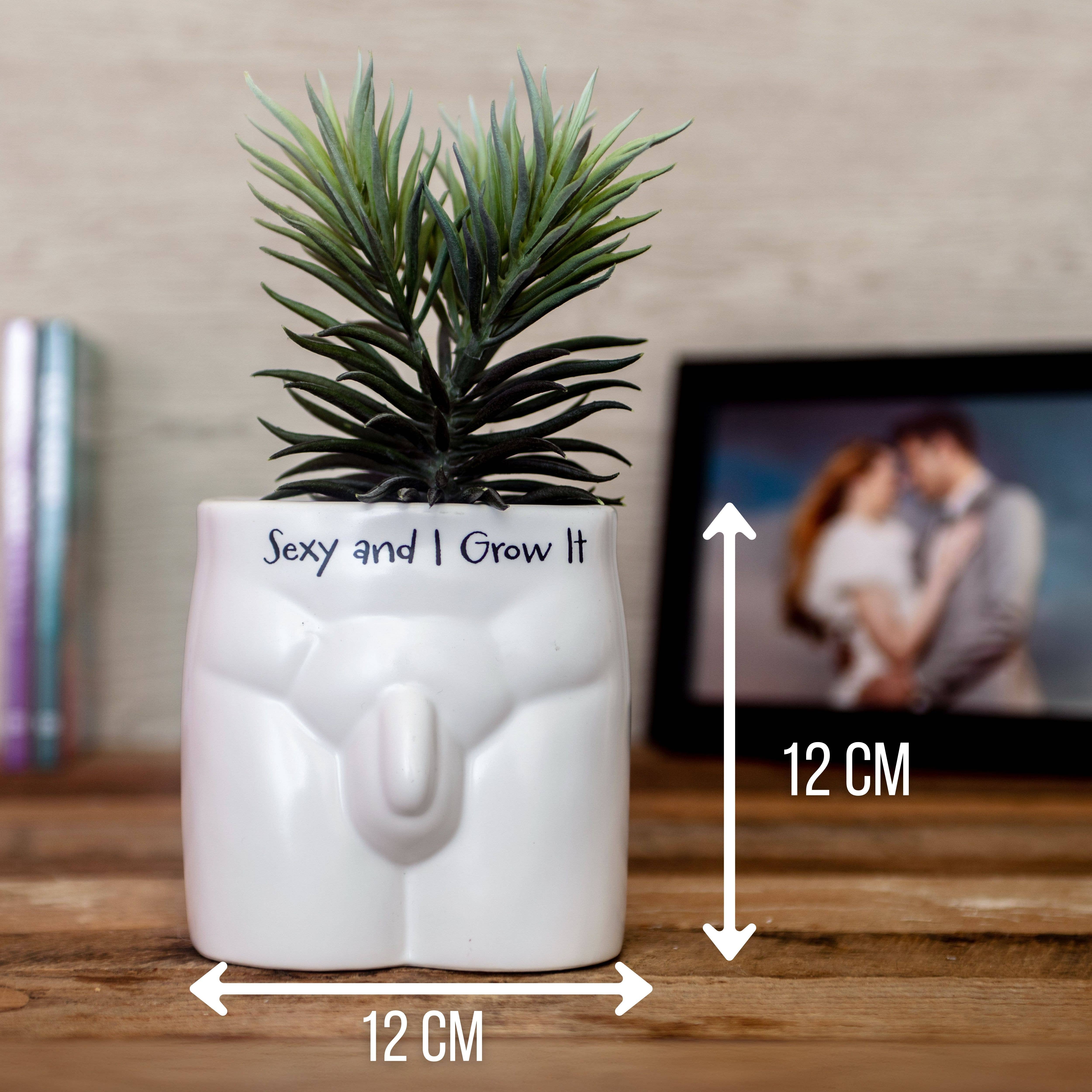 Boxer Gifts - Wholesale Plant Pot - Sexy and I Grow It Put Some Plants On Novelty Indoor Planter3