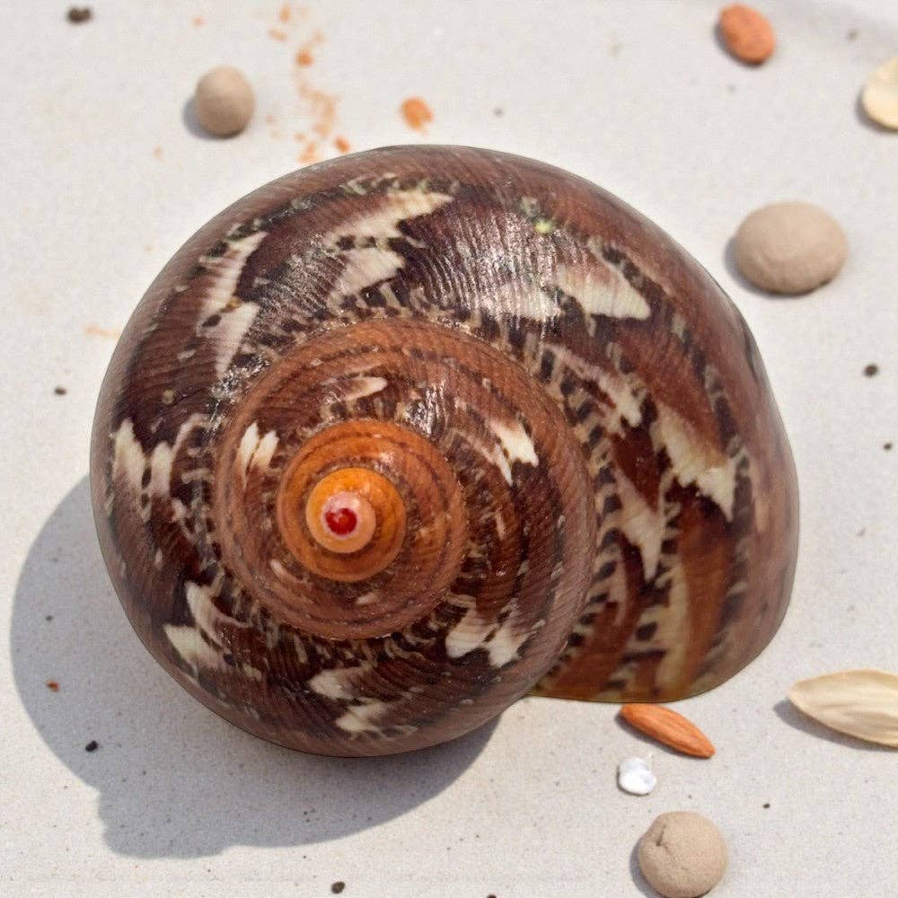 Earths Elements Wholesale - Vente Pierre et cristal de spiritualité - Turban en Tapisserie Naturel