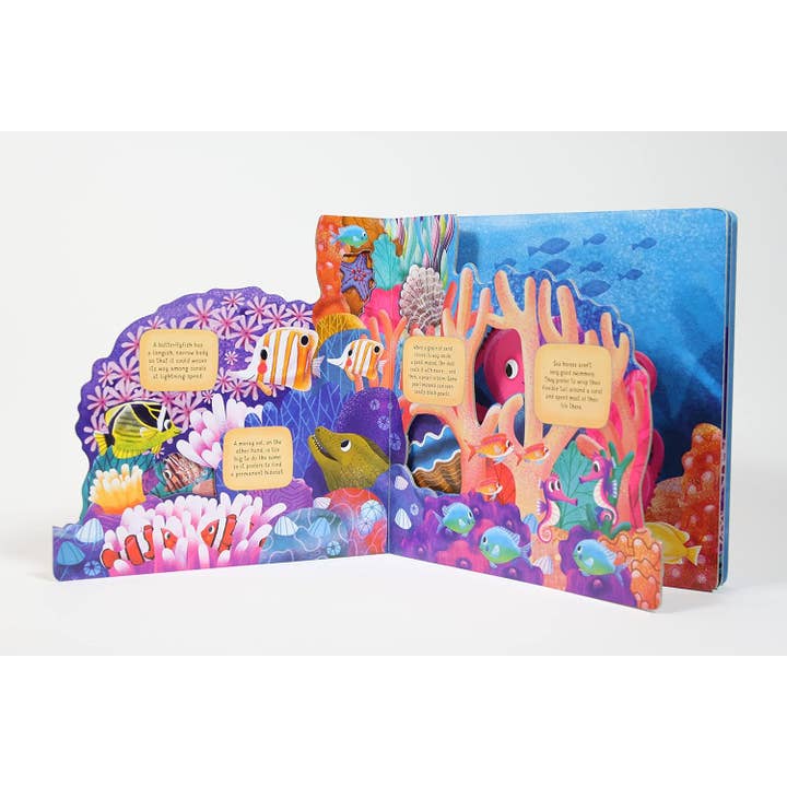 Fox Chapel Publishing - Vente Livre pour enfants de maternelle (de 3 à 5 ans) - À la découverte du monde secret : Coral Reef - Livre d'images pour enfants1