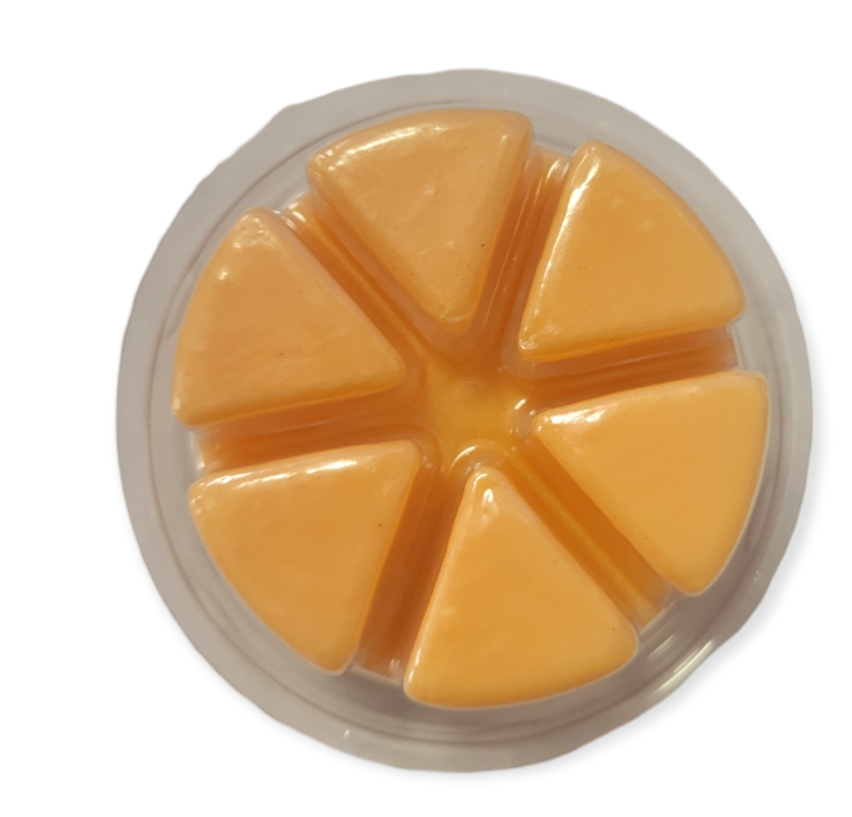 Starlight Wholesale LLC. - Venta al por mayor Ceras perfumadas - Contenedor con tapa en forma de concha de 6 cavidades para tartas (Estilo europeo)2