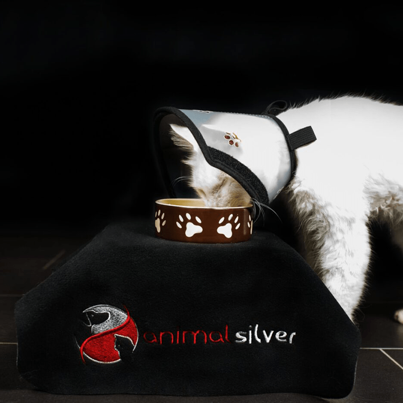 4cats Heimtierbedarf GmbH - Wholesale Pet Collar - Cat/Dog - animalsilver Pet Air's patented Elisabethan Collar1