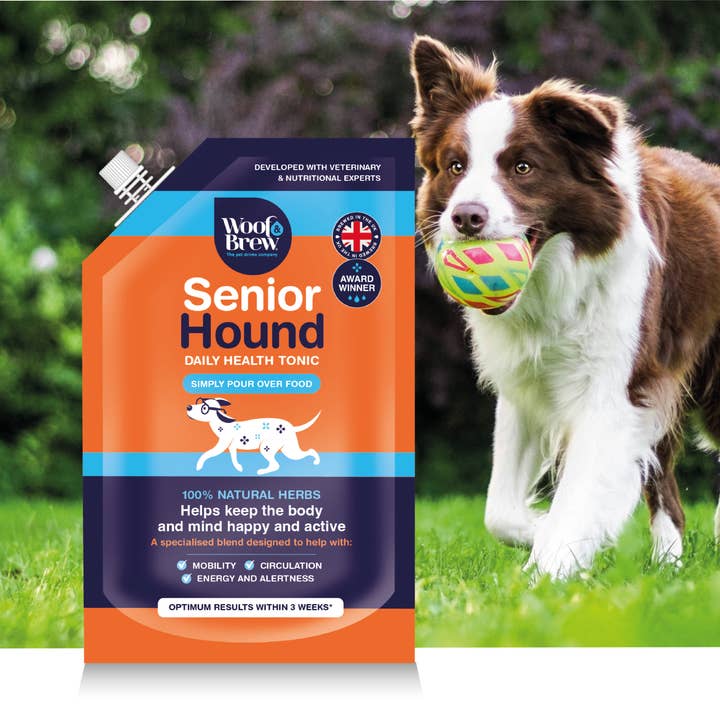 WOOF&BREW LTD – wholesale Pet supplement – Dog – Senior Hound Joint Care Helps Keep Older Dogs Active 1