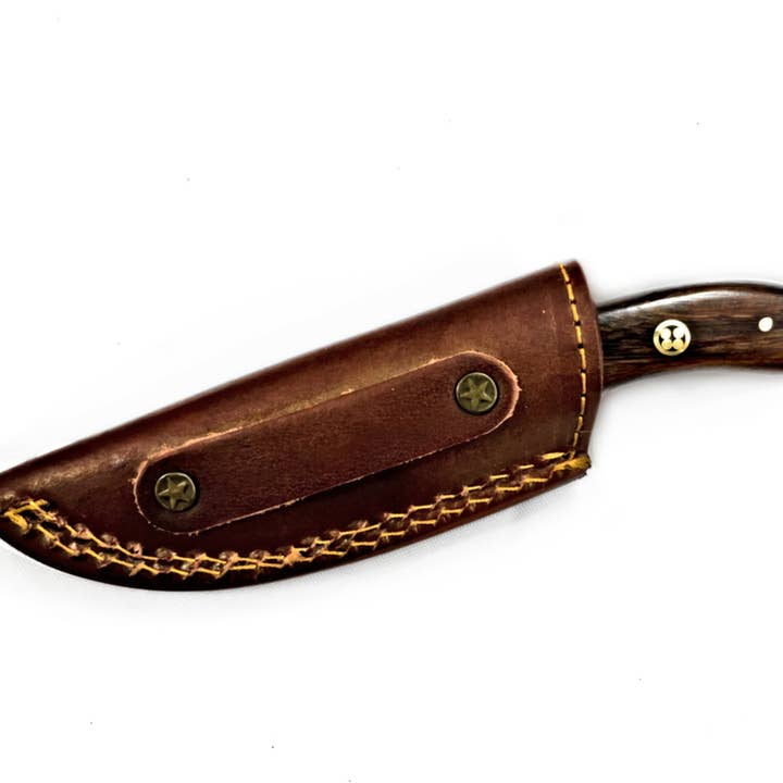 Titan International - Wholesale Pocket Knife/Holder - Damascus Steel Skinner Knife, Stag & Walnut Grip by Titan Td2