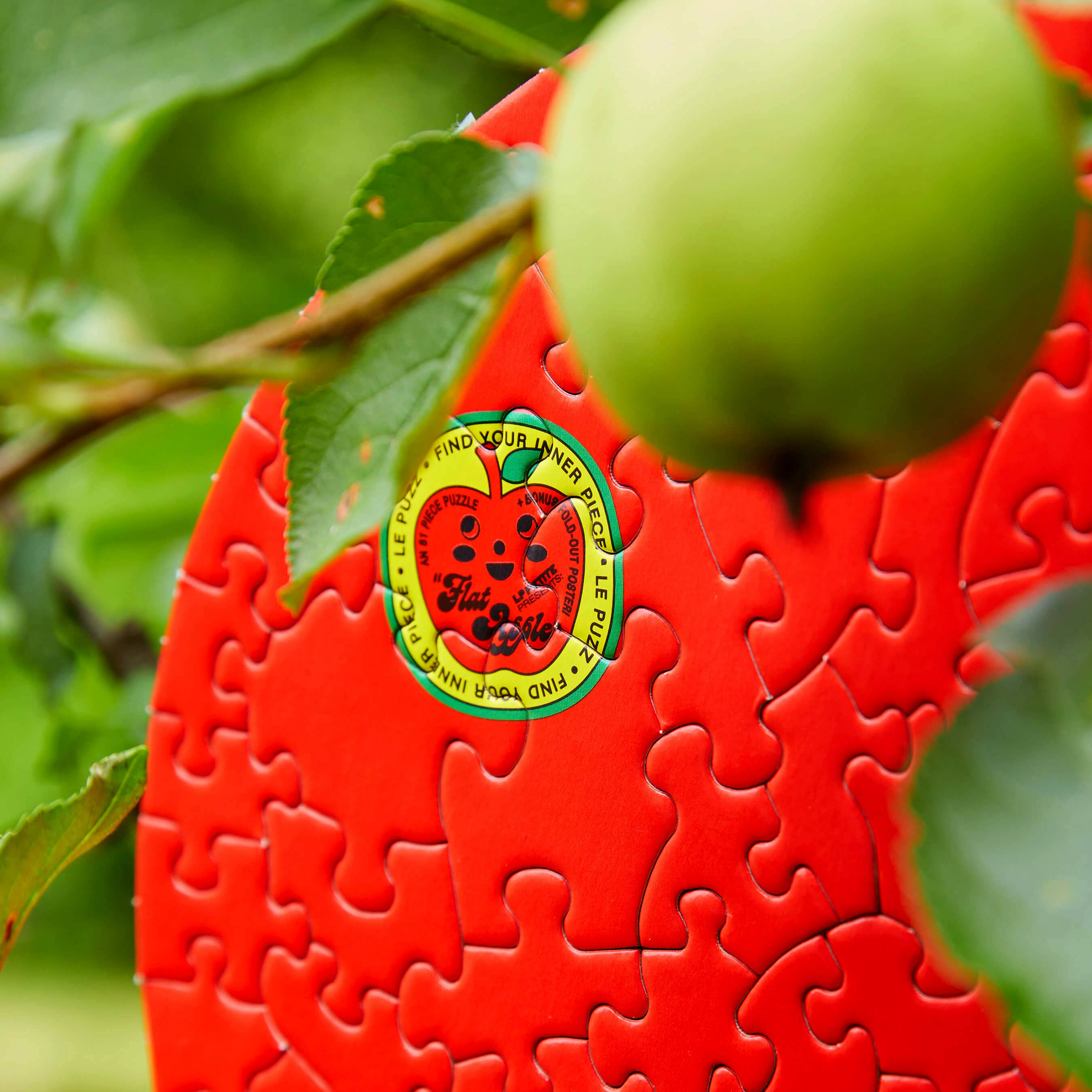 Le Puzz - Vente Puzzle – adulte - Puzzle miniature 81 pièces rouge uni « Pomme plate »8