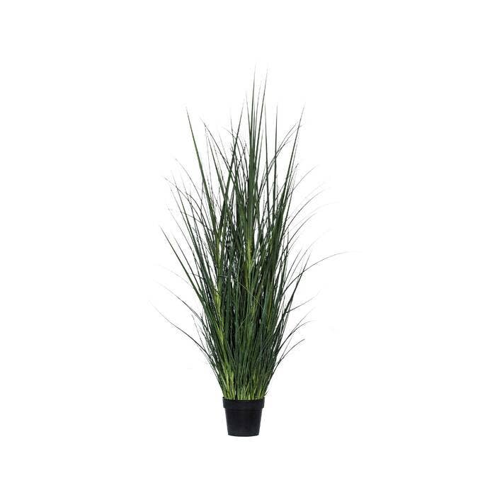 Grass in Pot L - Green - H68,11in for wholesale by Pottery Pots