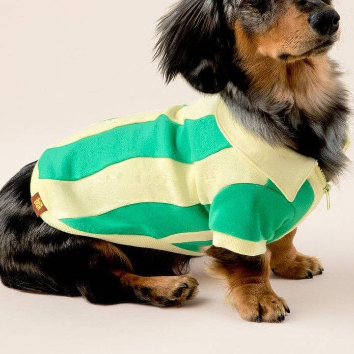 Sunbean - Wholesale Pet Sweater - Dog - Ziggy Cotton Dog Quarter-Zip Pullover12
