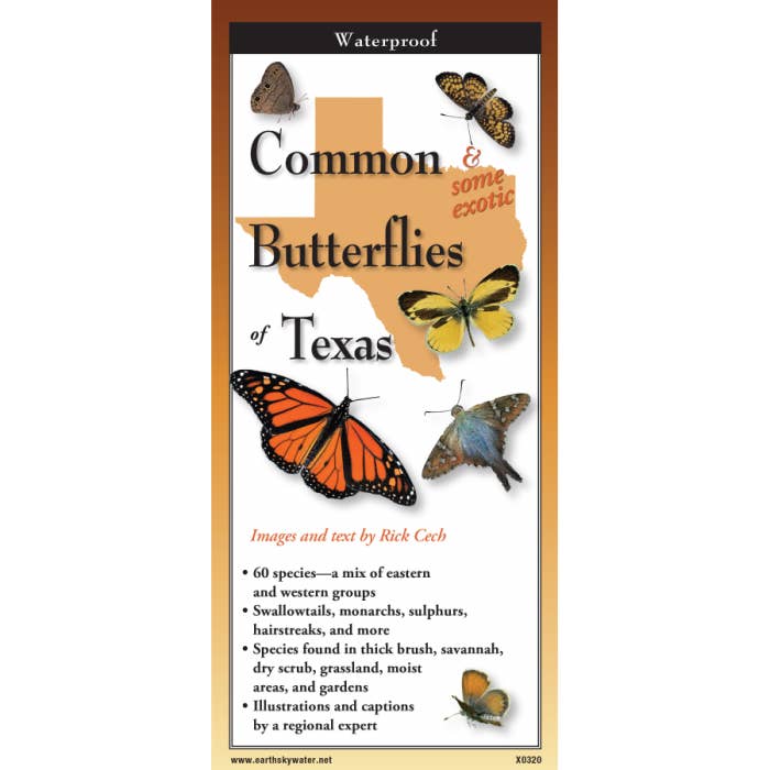Papillons communs du Texas - Guide de la nature pour la vente par Earth Sky + Water