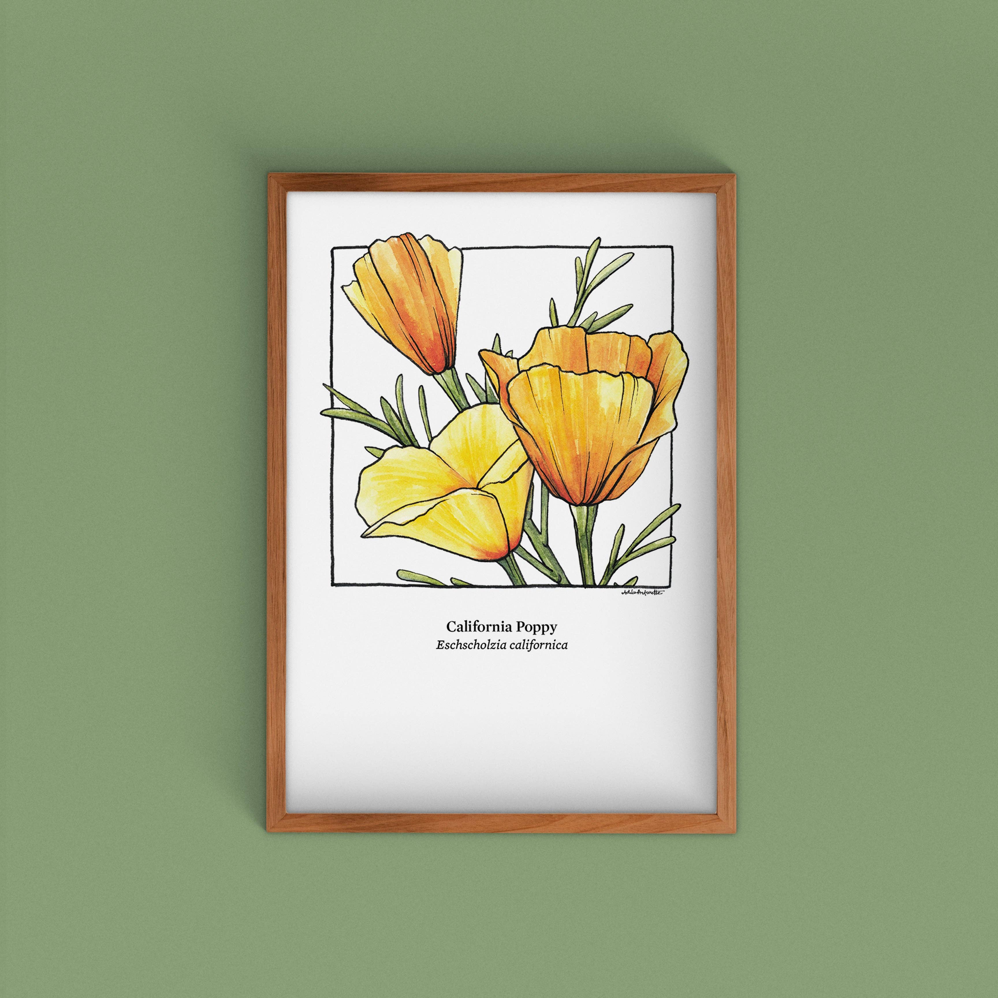 Cacti Oasis© - Wholesale Art Print - Watercolor Prints on Cotton Paper - 12 Designs2