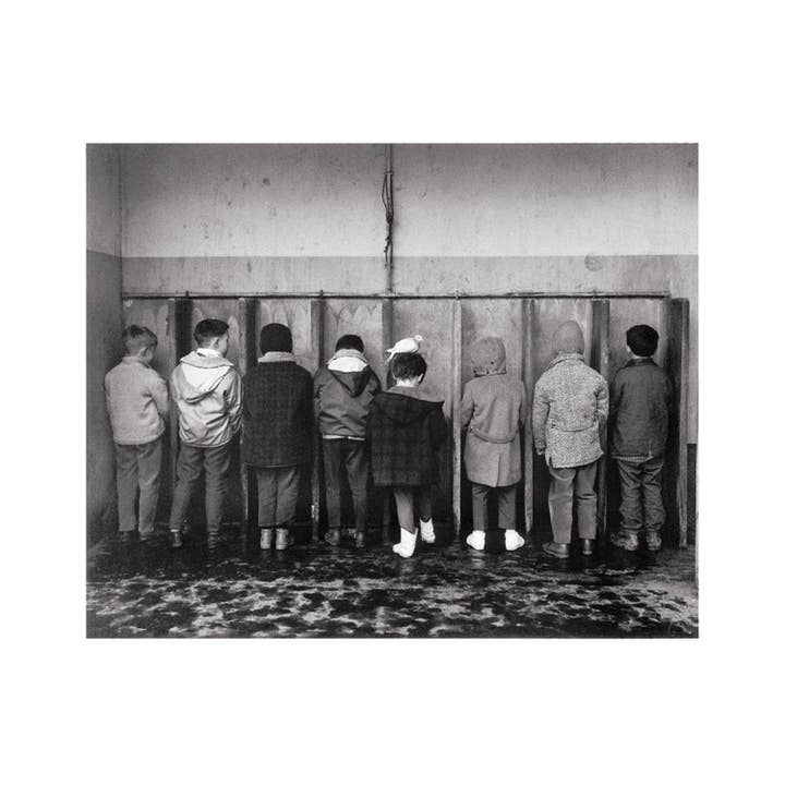 O Pombo Inquisitivo por atacado de Retrospect Greeting Cards