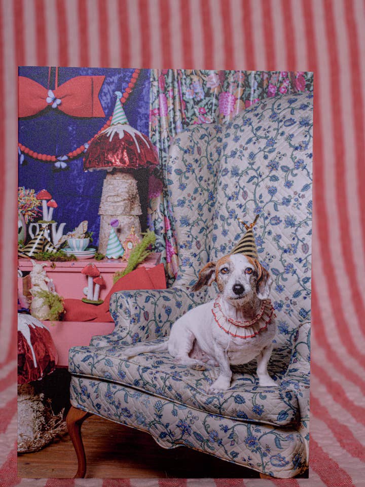 Tarjeta de felicitación de cumpleaños Alicia en el país de las maravillas Fotografía de perros para venta al por mayor de The Velvet Big Top