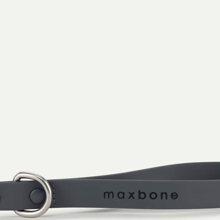 maxbone - Vendita all'ingrosso Guinzaglio - Cani - Guinzaglio per cani Hazel2