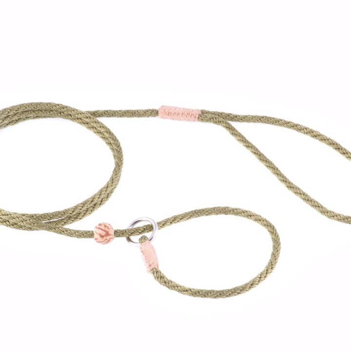 Alvalley - Wholesale Pet Leash - Dog - Nylon Slip Lead With Stopper31