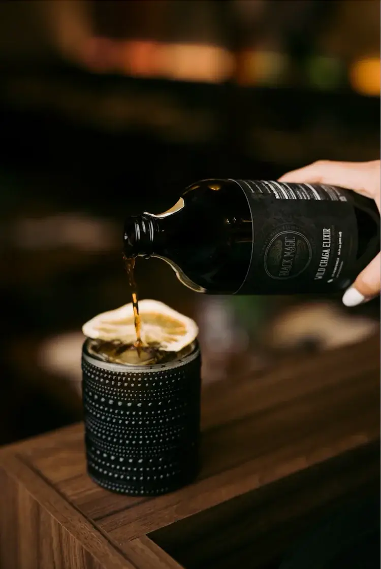 Black Magic Alchemy - Vendita all'ingrosso Tinture - Wildcrafted Chaga Ancient Rootbeer Elixir | 16,9 once (30 giorni)5