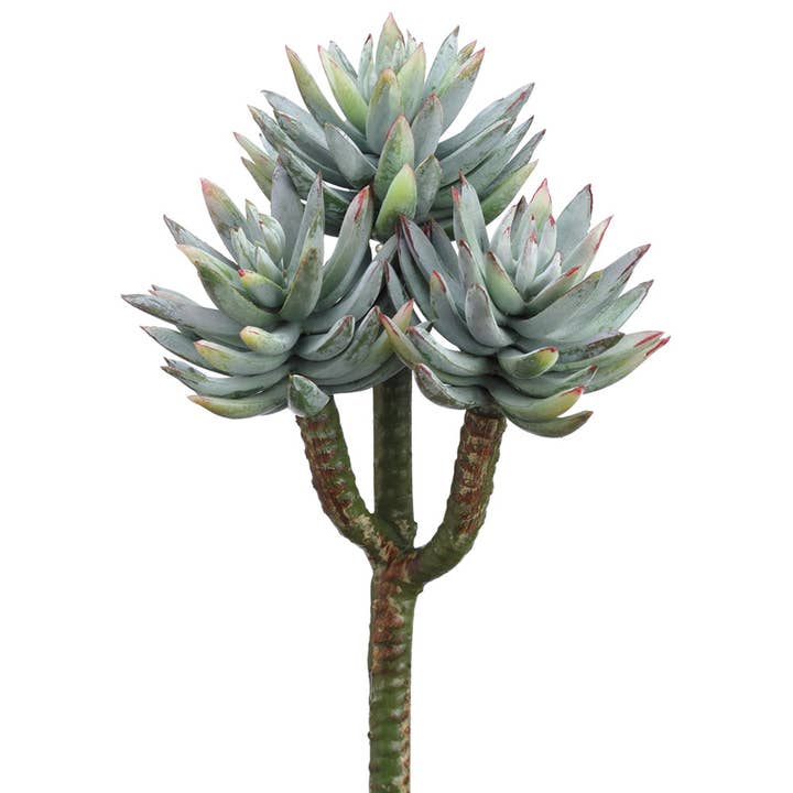8" Mini Agave x3 (12 pcs) for wholesale by JENNY SILKS