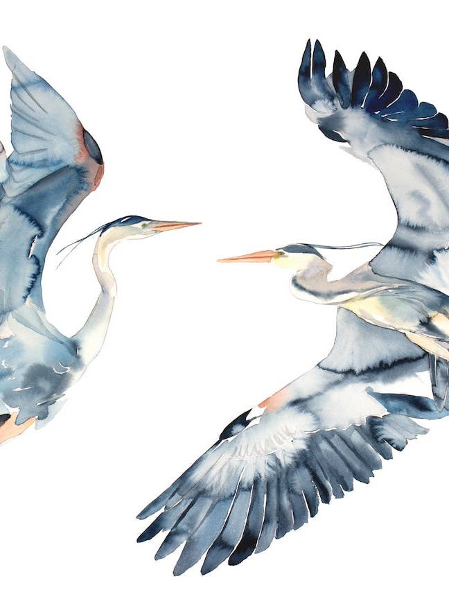 Reiher im Flug für den Großhandel von Elizabeth Becker