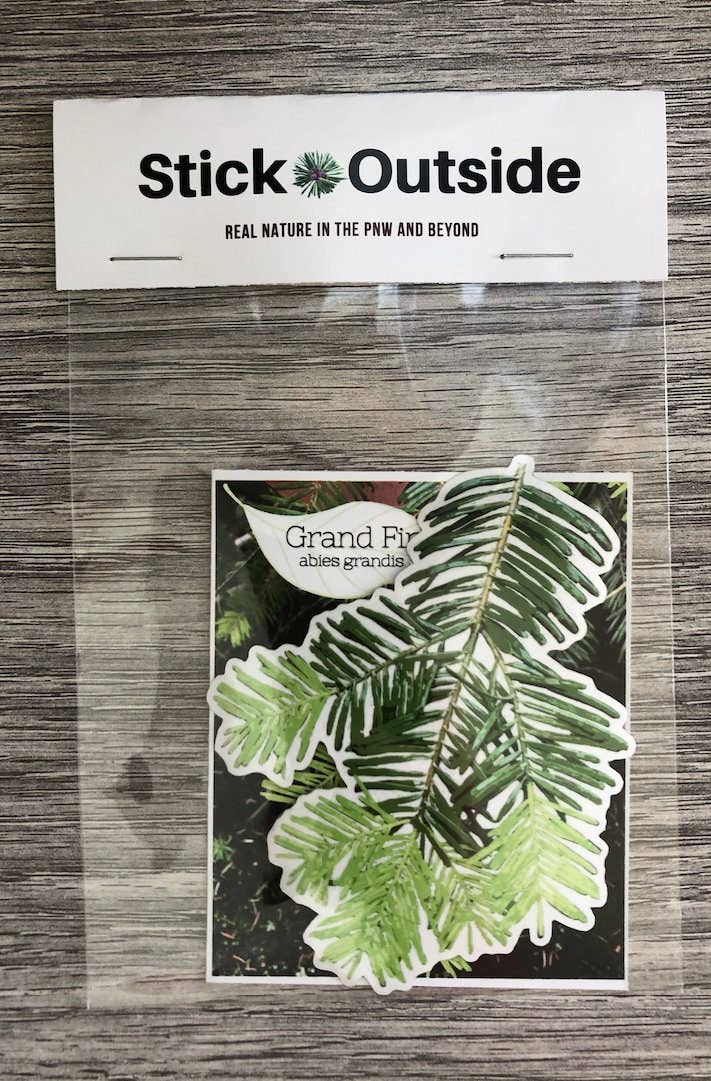 Stick Outside - Wholesale Sticker - Oregon Grand Fir Sticker5