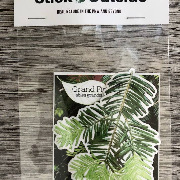 Stick Outside - Wholesale Sticker - Oregon Grand Fir Sticker5