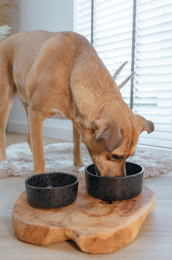 AVA bowls - Wholesale Pet Bowl - Cat/Dog - Ceramic food bowl Wolf1