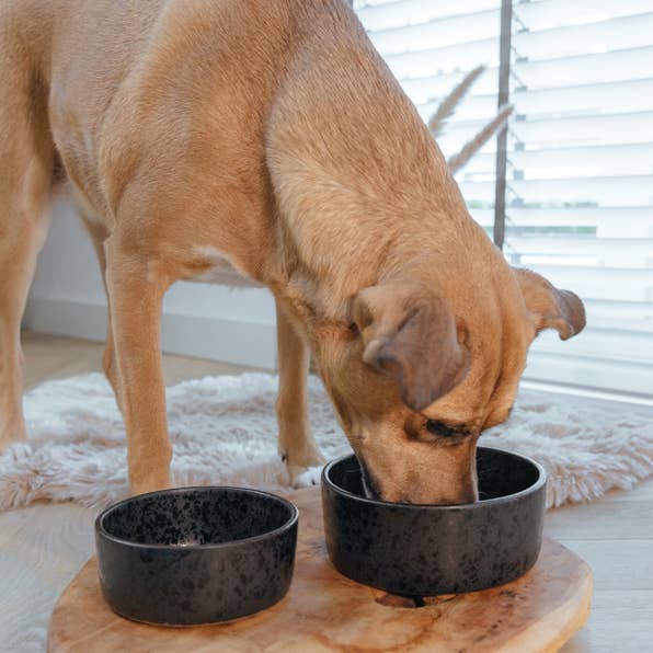 AVA bowls - Wholesale Pet bowl – Cat/dog - Ceramic food bowl Wolf1