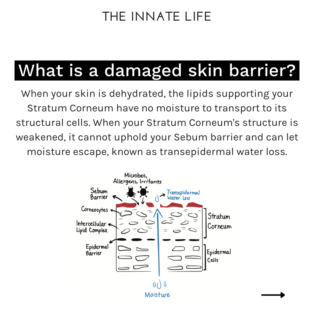 The Innate Life - Wholesale Bath/Body Oil - NEROLI BODY OIL6