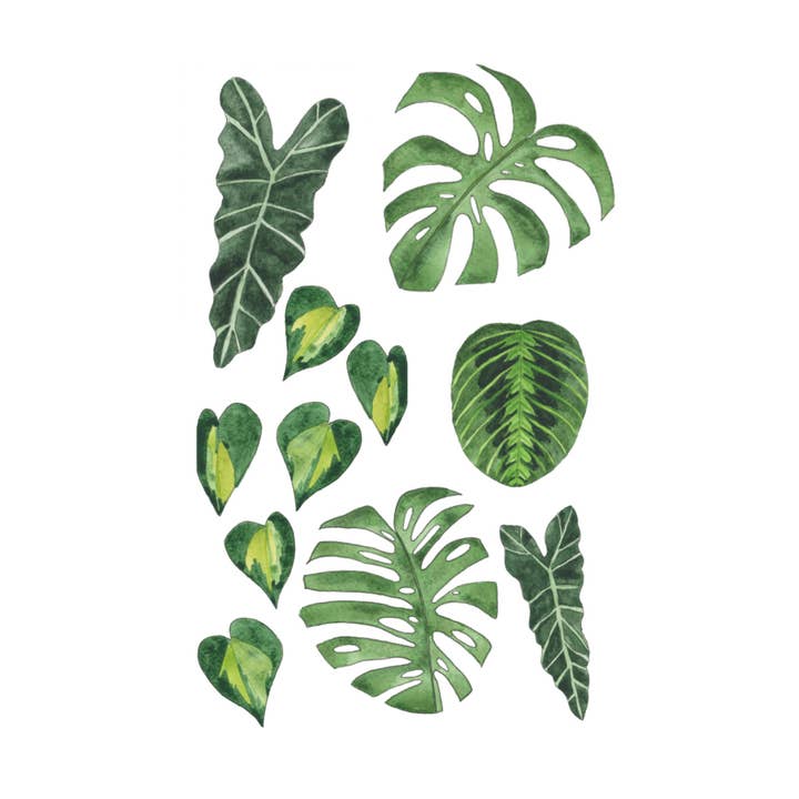 House Plant Care Cards for wholesale by Little Leaf Ink