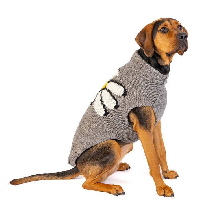 Pull pour chien et chat Chilly Dog Big Daisy  pour la vente par CHILLY DOG LLC