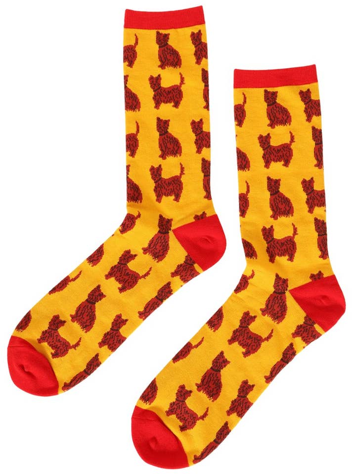 Mens Dog Socks Schnauzer Print Animal Novelty Cotton Socks for wholesale by Sock Talk