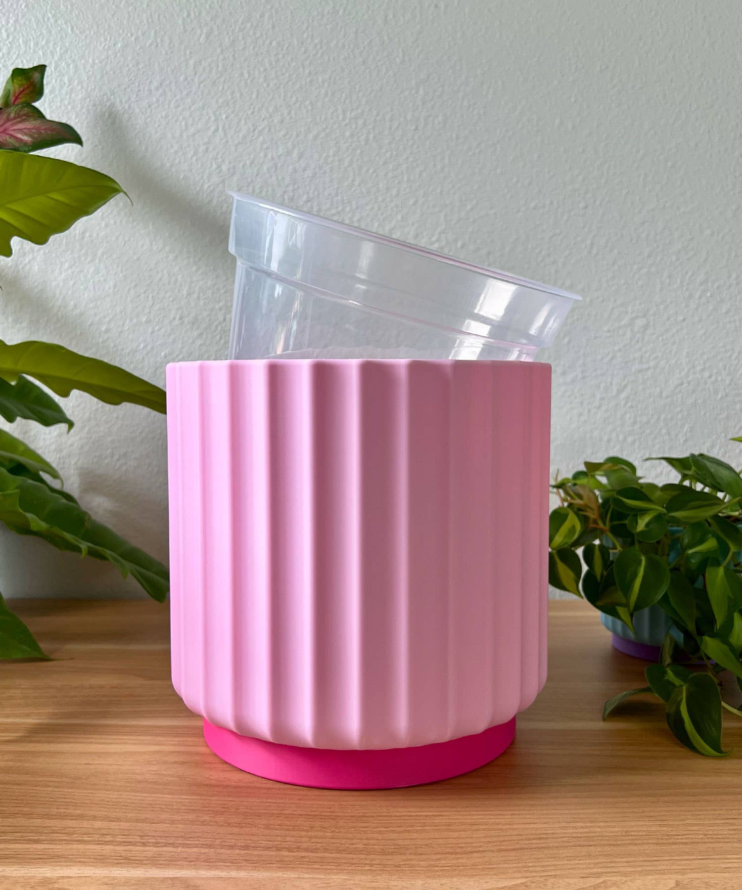 Daisy Wood Design - Wholesale Plant Pot - Bold Color Pop 8" Planters – Colorful Dreamhouse Singles6