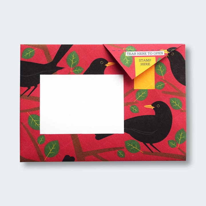 pigeonposted - Wholesale Stationery/Notecard Set - Dawn Chorus Pigeon letter pack