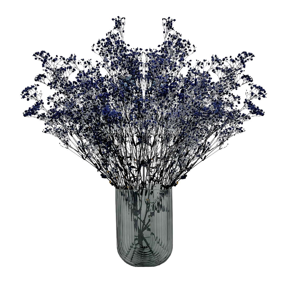 2626 Designs - Wholesale Dried/Pressed Flowers - Preserved Gypsophila, Baby's Breath,24" long31