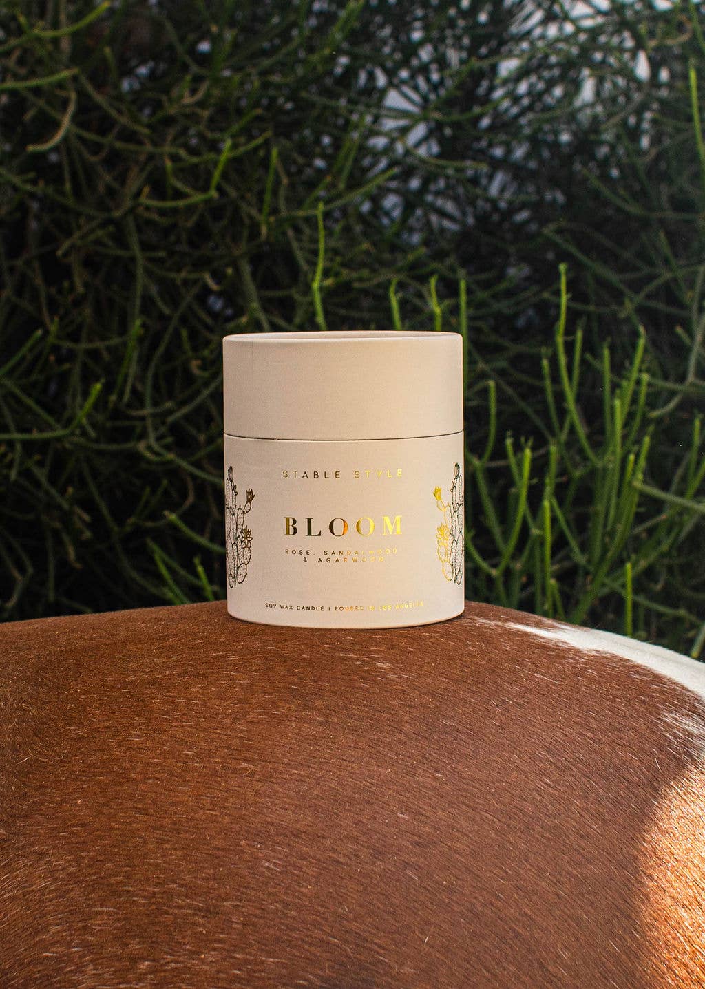 Stable Style - Wholesale Jar/Filled Candle - Cactus Soy Wax Candle - Bloom2