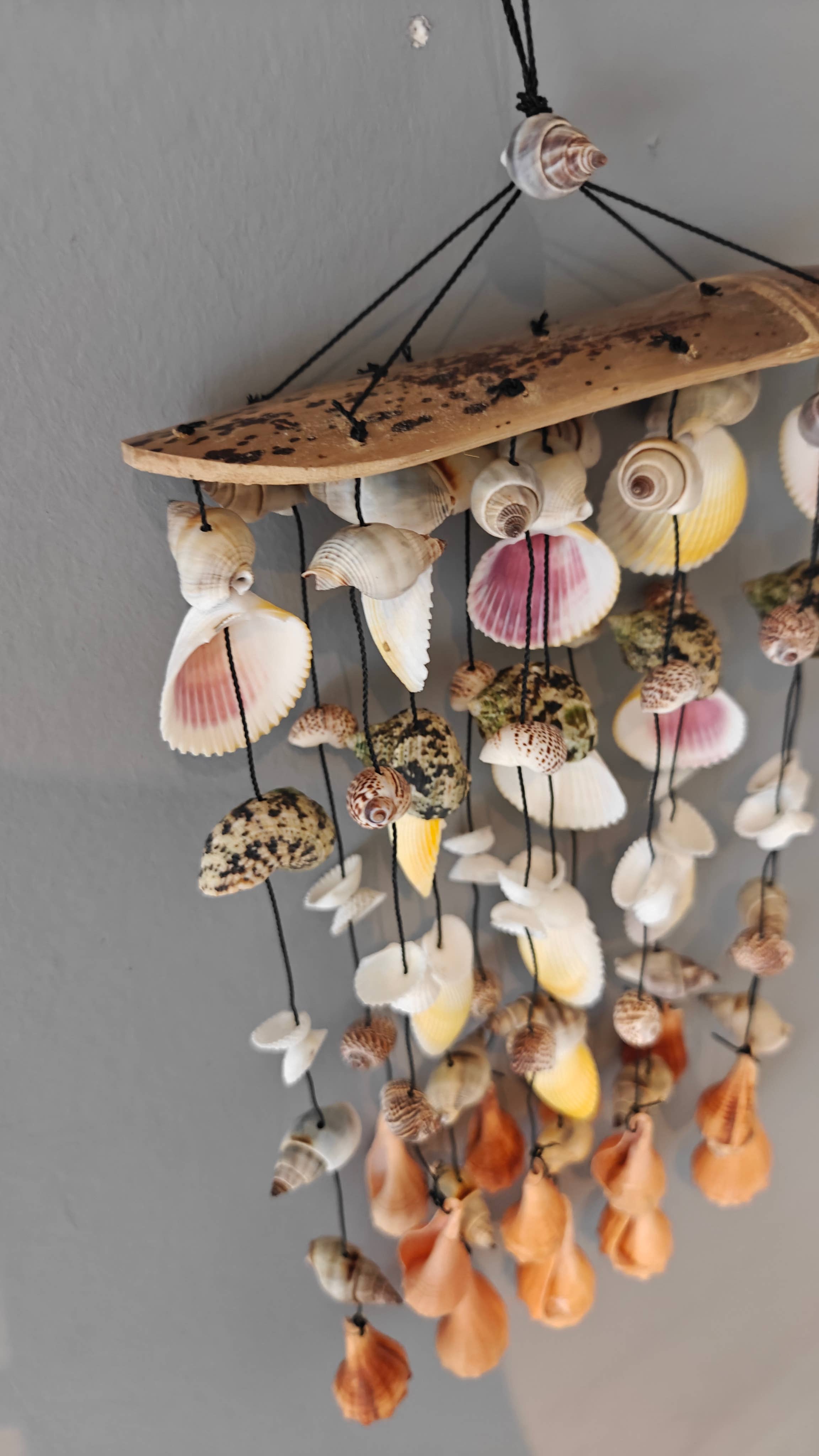 Product Import Holland – Engroshandel Vindharpe – Bambus vindspil med skaller - tropisk kystdekoration5