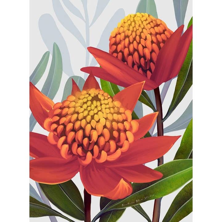 " Beacon Of The Bush"|Australian Waratah Pink - Portrait for wholesale by Banksia Blue Studio