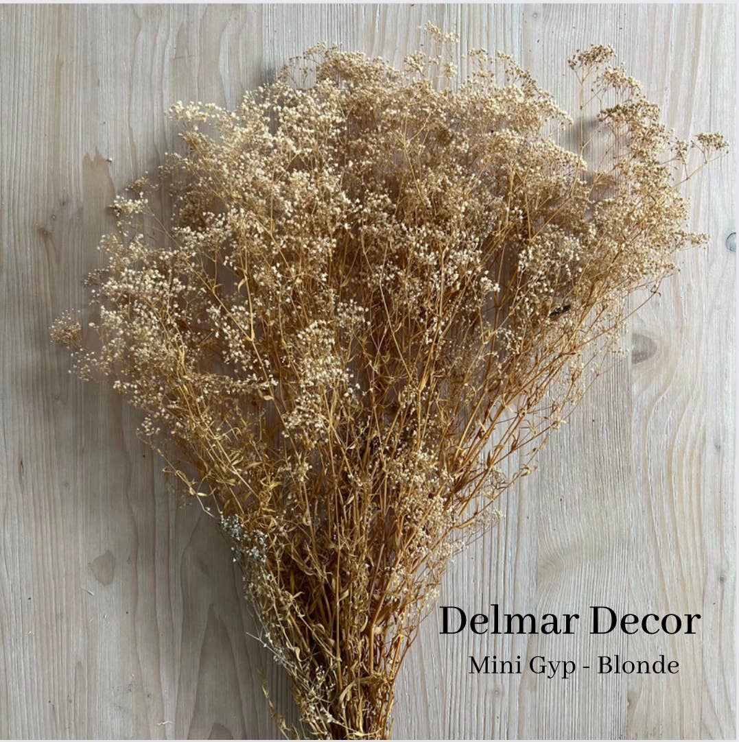 Delmar Decor - Wholesale Dried/pressed flowers - Preserved baby’s breath - Blonde mini gyp1