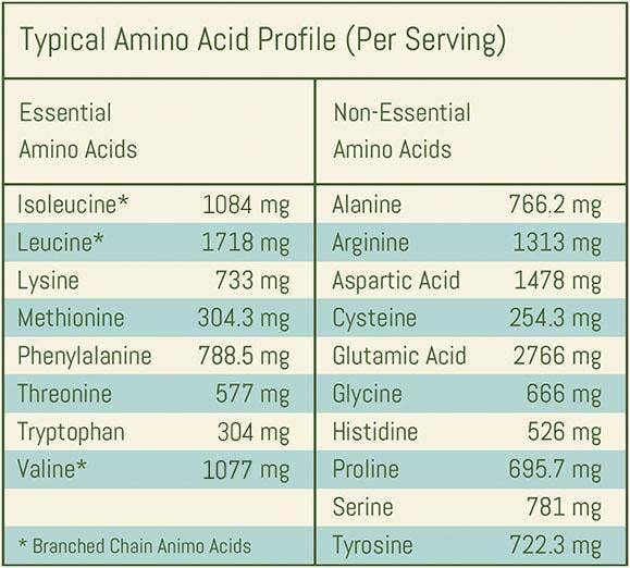 Livwell Nutrition - Wholesale Protein/superfood powder - Coconut Protein Blend3