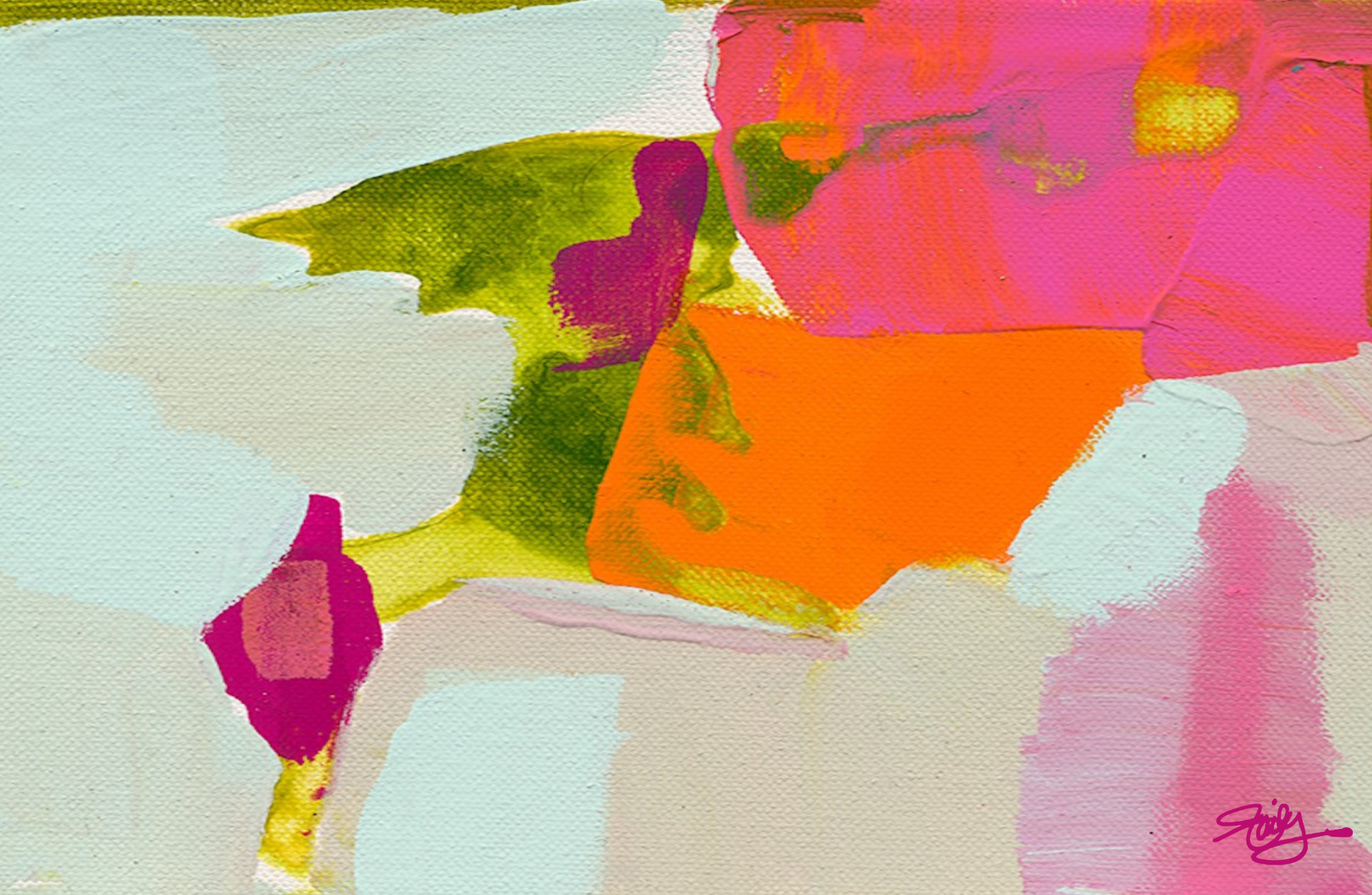 TAYLOR GRAY - Vente Plateaux décoratifs - Ensemble de 10 inserts 11x17 JULIE DAILEY COLLAB2