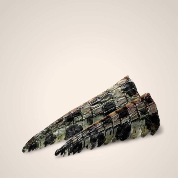 Punte di coda di coccodrillo per la vendita all'ingrosso da parte di Woofing Wonders