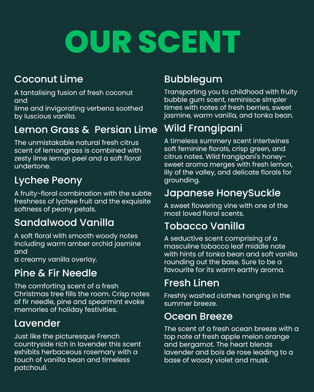 Bright Candles Co. - Venta al por mayor Velas de diseño llamativo - Vela aromática de cera de coco y conchas1