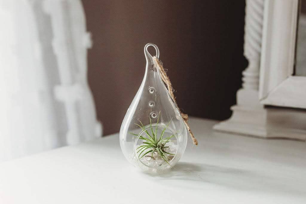 The Simply Crafty Shop - Wholesale Terrarium - Pear Shape Terrarium Kit- Semi-Precious Stone43