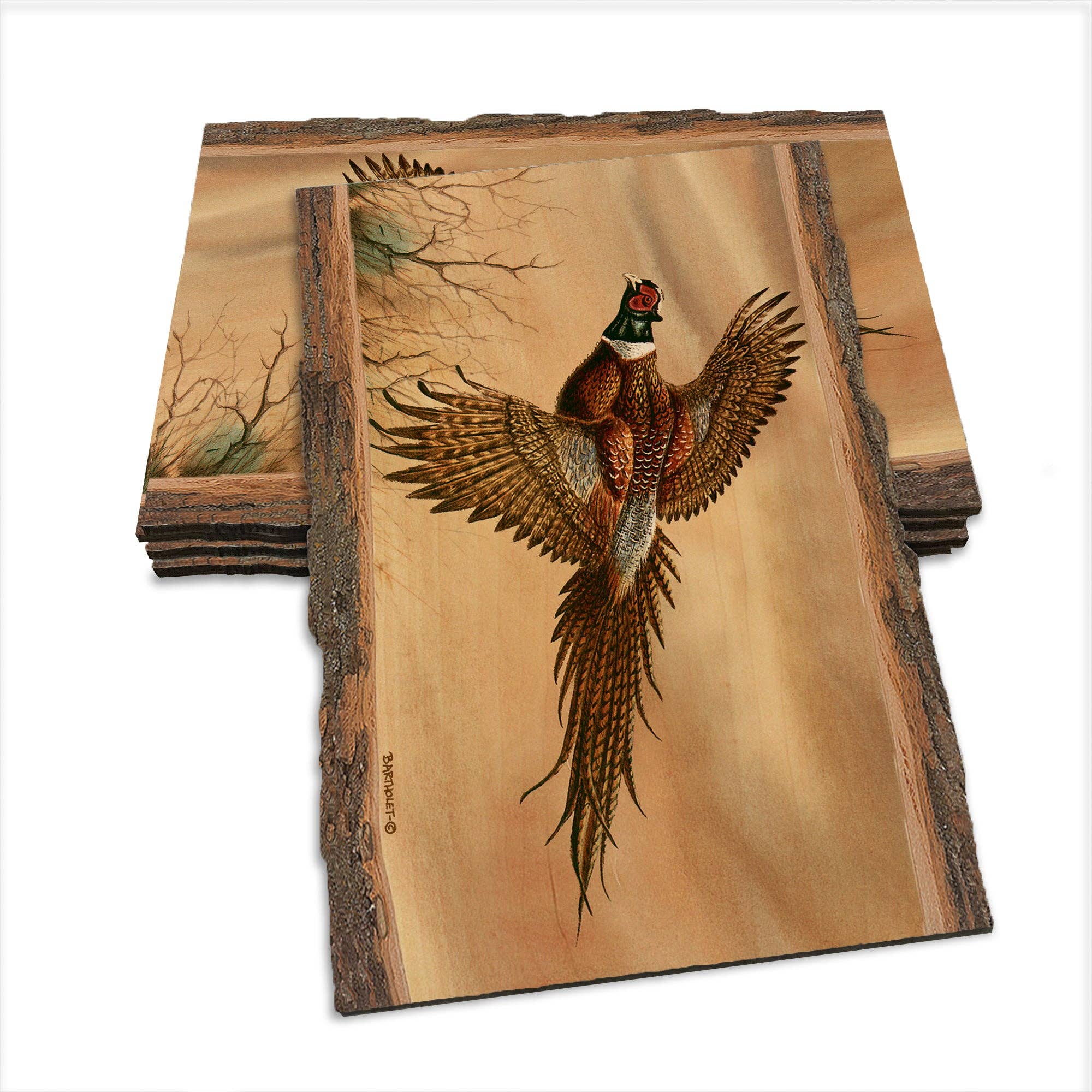 DaydreamHQ - Wholesale Postcard - Bartholet's Kaleidoscope Pheasant  - Live Edge0