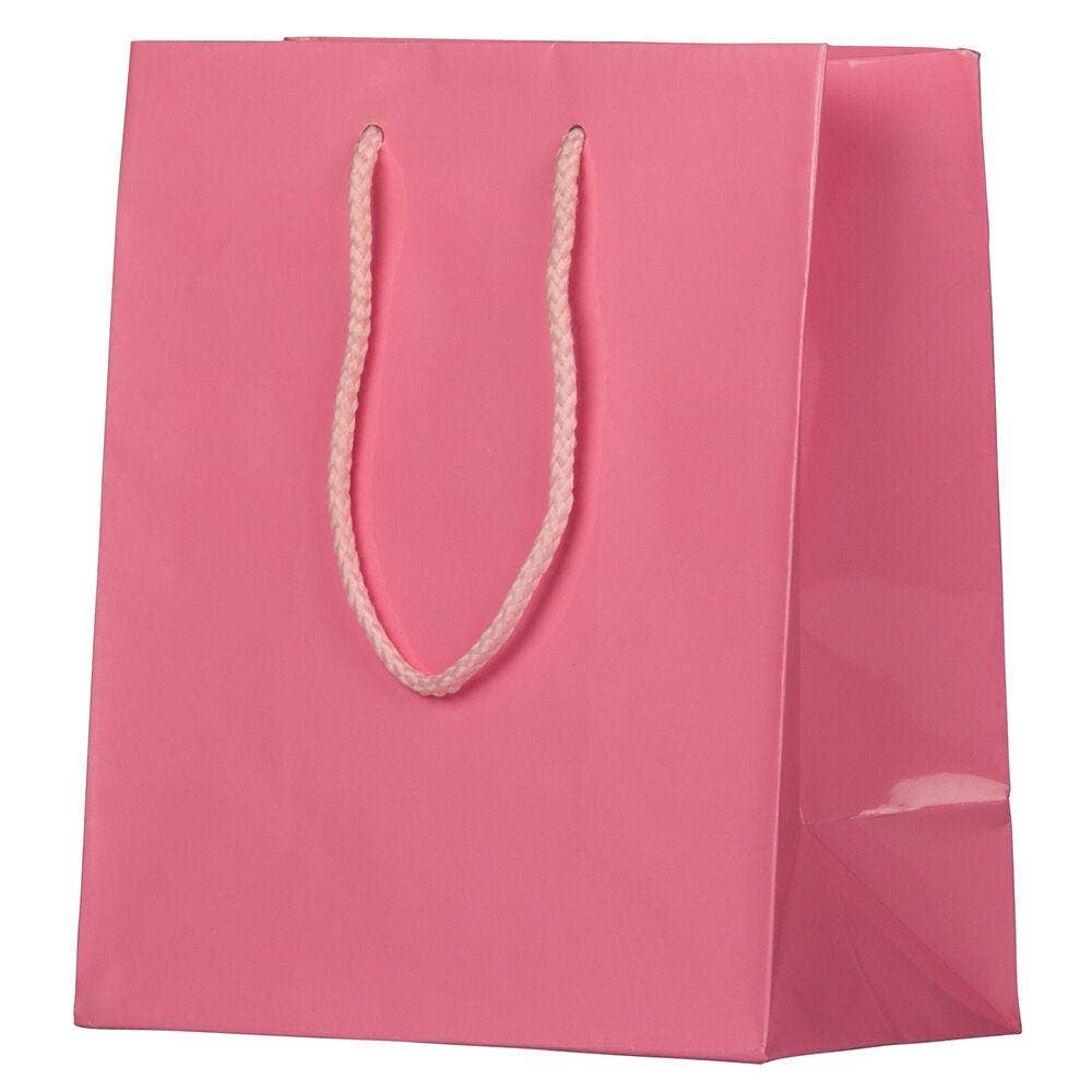 JAM PAPER - Wholesale Gift Bag - Glossy Gift Bags w/ Rope Handles, Medium, 8x4x10, Pink, 1PK2