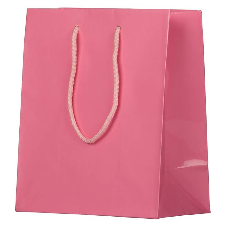 JAM PAPER - Wholesale Gift Bag - Glossy Gift Bags w/ Rope Handles, Medium, 8x4x10, Pink, 1PK2