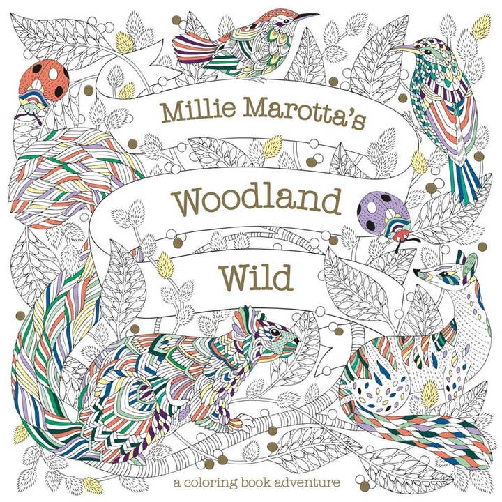 Millie Marotta's Woodland Wild Coloring Book for wholesale by Hachette Book Group