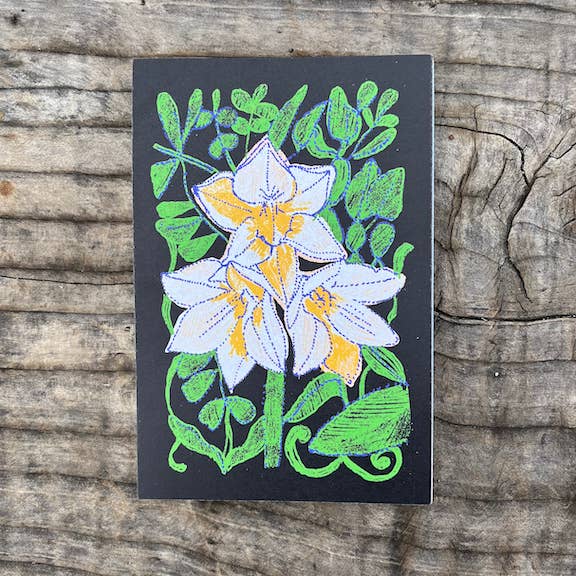 Ponderosa Art Co - Wholesale Postcard - Illustrated Postcards